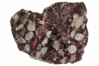 Polished Pudding Stone (Conglomerate) Section - Michigan #336998