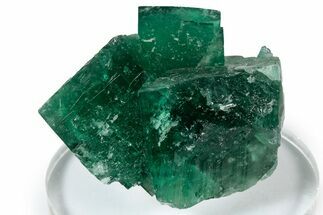 Fluorescent Green Fluorite Twins - Diana Maria Mine, England #337519