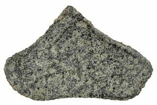 Martian Shergottite Meteorite ( g) Slice - NWA #337548