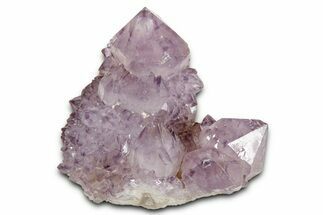 Sparkling Cactus Amethyst Crystal Cluster - South Africa #337601