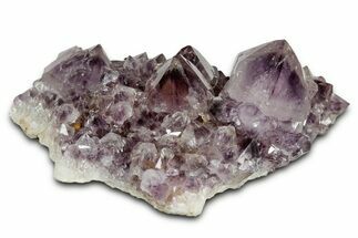 Deep-Purple Cactus Amethyst Crystal Cluster - South Africa #337607