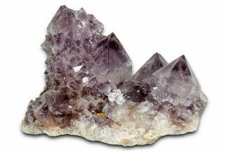 Deep-Purple Cactus Amethyst Crystal Cluster - South Africa #337609