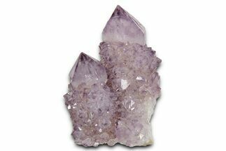 Deep-Purple Cactus Amethyst Crystal Cluster - South Africa #337611