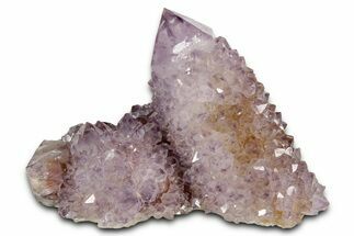 Sparkling Cactus Amethyst Crystal Cluster - South Africa #337613
