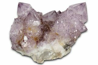 Deep-Purple Cactus Amethyst Crystal Cluster - South Africa #337617