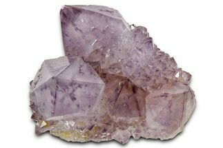 Deep-Purple Cactus Amethyst Crystal Cluster - South Africa #337619
