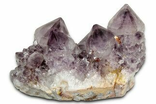 Deep-Purple Cactus Amethyst Crystal Cluster - South Africa #337623