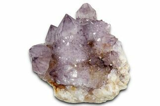 Deep-Purple Cactus Amethyst Crystal Cluster - South Africa #337625