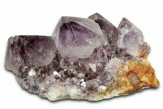 Deep-Purple Cactus Amethyst Crystal Cluster - South Africa #337627