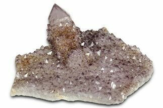 Deep-Purple Cactus Amethyst Crystal Cluster - South Africa #337633