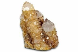 Sunshine Cactus Quartz Crystal Cluster - South Africa #337642