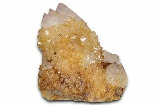 Sunshine Cactus Quartz Crystal Cluster - South Africa #337654