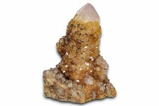 Sunshine Cactus Quartz/Amethyst Crystal Cluster - South Africa #337657