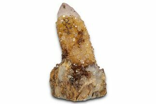 Sunshine Cactus Quartz/Amethyst Crystal Cluster - South Africa #337658