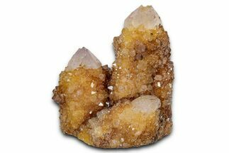 Sunshine Cactus Quartz/Amethyst Crystal Cluster - South Africa #337659