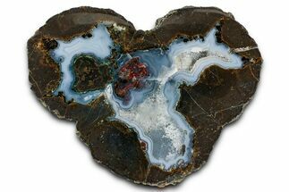 Colorful Polished Thunderegg Half w/ Triple Core - Nevada #337794