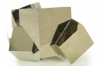 Shiny, Natural Pyrite Cube Cluster - Navajun, Spain #337910