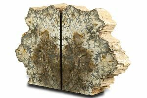 ‪☆デザインブレス‪☆天然石アラカルト‪☆マキ‪☆ 四神水晶金彫り×ゴールデンタイガーアイ×シトリン×タイガーアイ