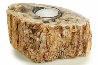 Polished Petrified Wood Candle Holder - Madagascar #338407