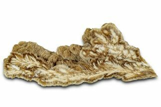 Polished Barite Slab with Pyrite - Lubin Mine, Poland #335180