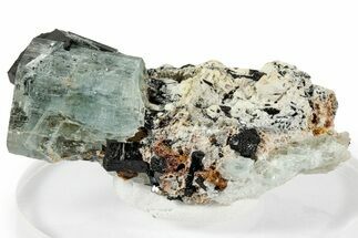 Lustrous Aquamarine Crystal with Schorl and Feldspar - Namibia #338060