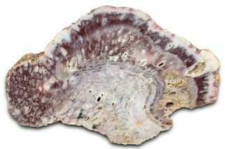 Polished Colorful Agate Slab #338150