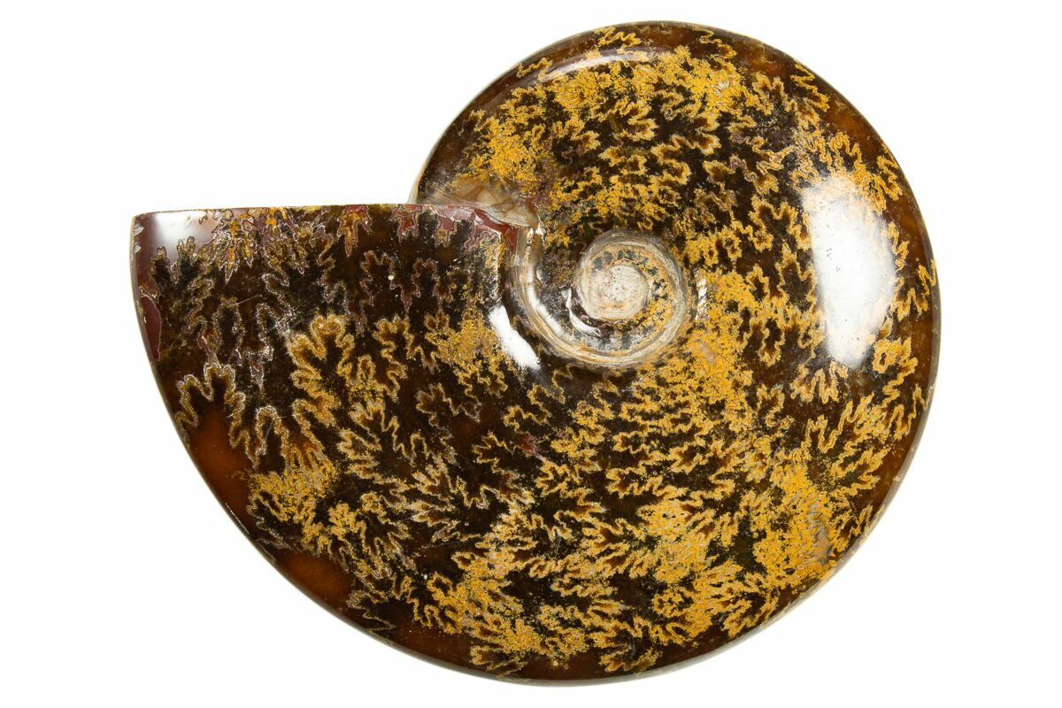 4.6
