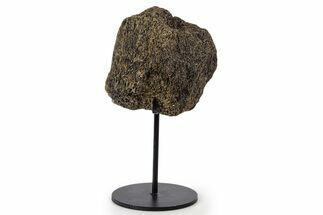 Fossil Triceratops Limb Section w/ Metal Stand - South Dakota #339967