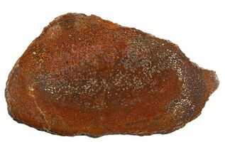 Recently Added For Sale