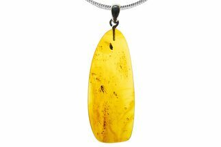 Polished Baltic Amber Pendant (Necklace) - Contains Fly! #339461