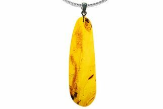 Polished Baltic Amber Pendant (Necklace) - Contains Fly! #339476