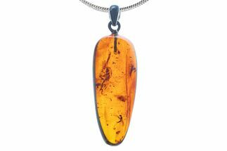 Polished Baltic Amber Pendant (Necklace) - Contains Fly! #339477
