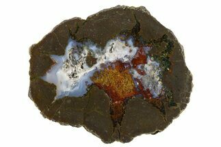 Colorful Polished Thunderegg Half - Nevada #337809