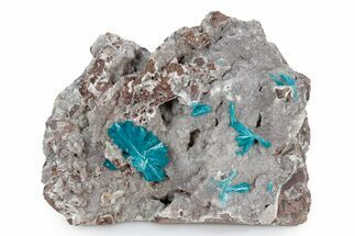 Vibrant Blue Cavansite Crystals on Sparkling Stilbite - India #340994