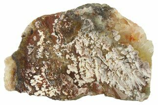 Polished Snow Plume Agate Slab - Mexico #338143