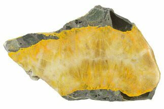 Polished Bumblebee Jasper Slab - Indonesia #338304