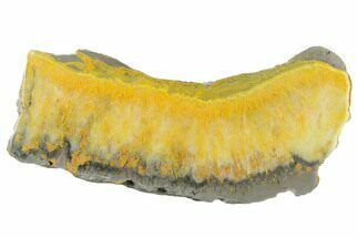 Polished Bumblebee Jasper Slab - Indonesia #338308