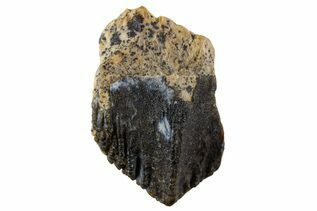 Recently Added For Sale