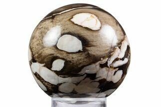 Polished Petrified Peanut Wood Sphere - Australia #341924