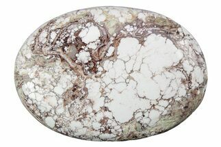 Polished Wild Horse Magnesite - Arizona #341932