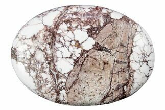 Polished Wild Horse Magnesite - Arizona #341933