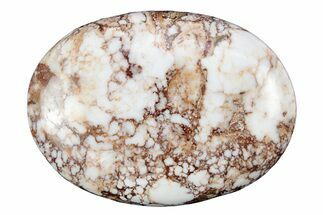 Polished Wild Horse Magnesite - Arizona #341935