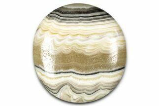 Polished Zebra Calcite - Mexico #342086