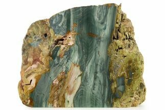 Free-Standing, Gary Green Jasper (Larsonite) Bog Wood - Oregon #334843