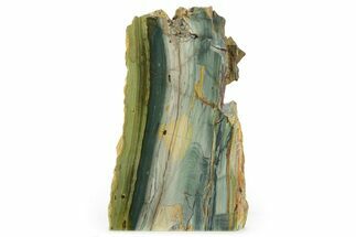 Free-Standing, Gary Green Jasper (Larsonite) Bog Wood - Oregon #334844