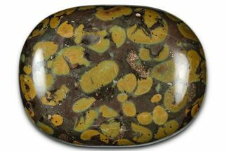 Polished Fruit Jasper Palm Stone - India #342234