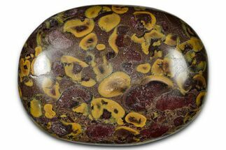 Polished Fruit Jasper Palm Stone - India #342243