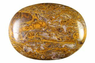 Polished Miriam Stone Palm Stone - India #342295