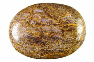 Polished Miriam Stone Palm Stone - India #342296