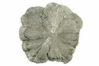 Radiant Pyrite Sun - Sparta, Illinois #342532